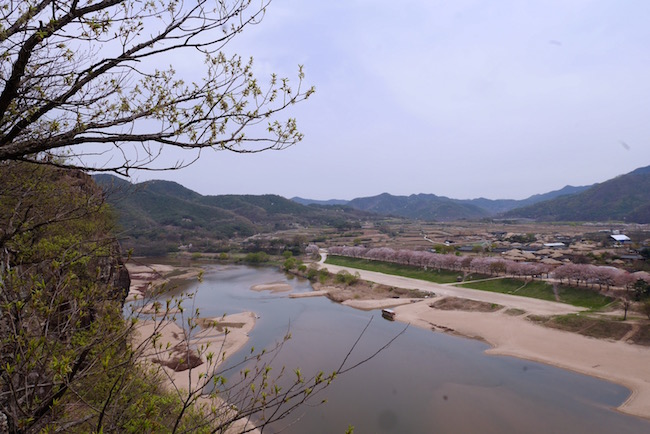 【韩国 | 安东】登上芙蓉台俯瞰河回村美景             							