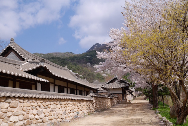 【韩国 | 闻庆】闻庆鸟岭道立公园